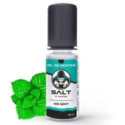 ICE MINT sdn 10ml SALT